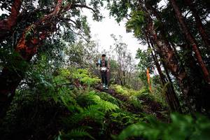 BIB: 
                            <button type="button" onclick="openModal(26204215)" class="btn btn-primary btn-sm float-right btn-popup" data-toggle="modal" data-target=".modal-high-quality">
                        <i class="fas fa-shopping-cart"></i> Add to Cart
                    </button>
                                            <button type="button" onclick="isThisMe(26204215, true)" class="btn btn-success btn-sm float-right btn-popup btn-isme hidden" data-toggle="tooltip" data-placement="bottom" title="นี่คือรูปของคุณใช่ไหม คลิกที่นี่เพื่อเอาเข้าอัลบั้ม">
                        <i class="fas fa-plus"></i> Add to album
                    </button>
                    <button type="button" onclick="isThisMe(26204215, false)" class="btn btn-warning btn-sm float-right btn-popup btn-isnotme hidden">
                        <i class="fas fa-ban"></i> Remove from album
                    </button>